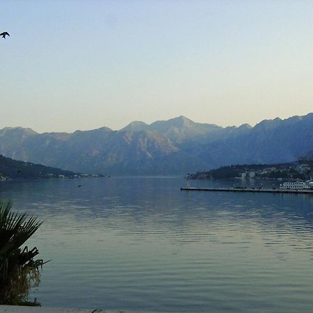 Apartment Mimosa Kotor Buitenkant foto
