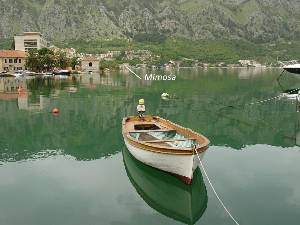 Apartment Mimosa Kotor Kamer foto
