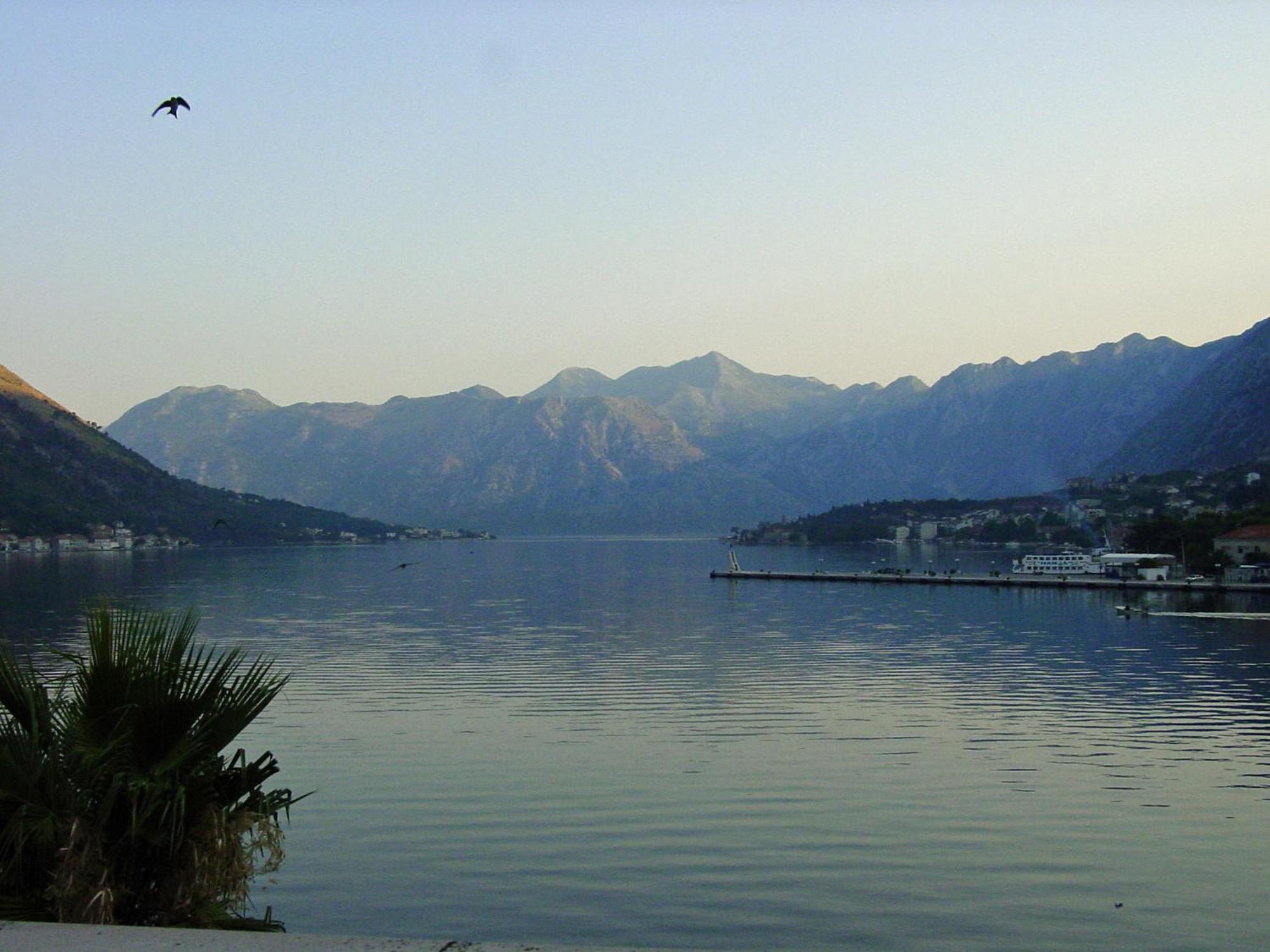 Apartment Mimosa Kotor Buitenkant foto