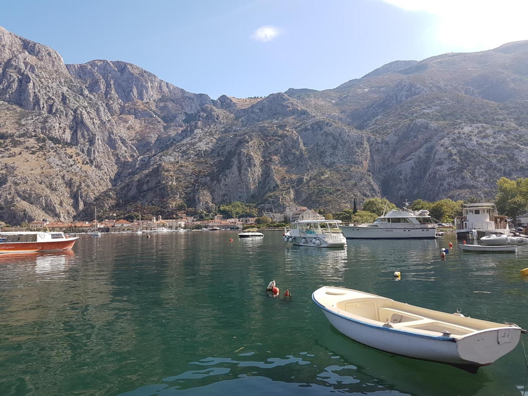 Apartment Mimosa Kotor Buitenkant foto