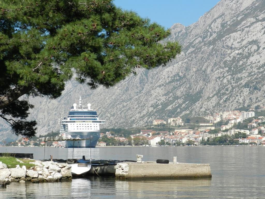 Apartment Mimosa Kotor Kamer foto