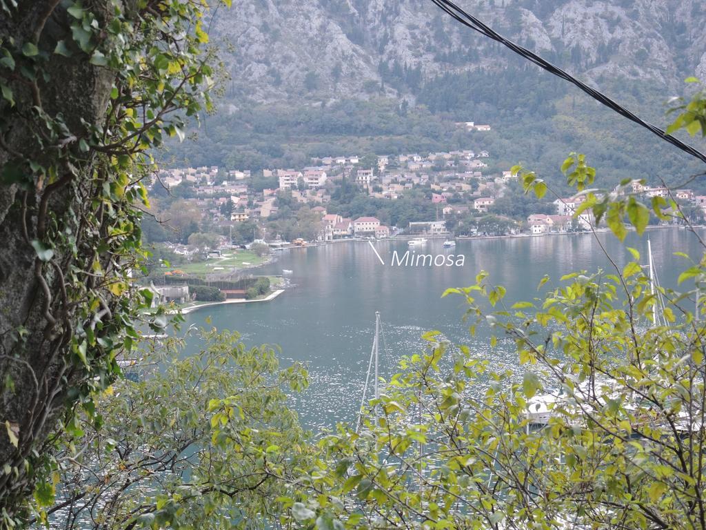 Apartment Mimosa Kotor Kamer foto