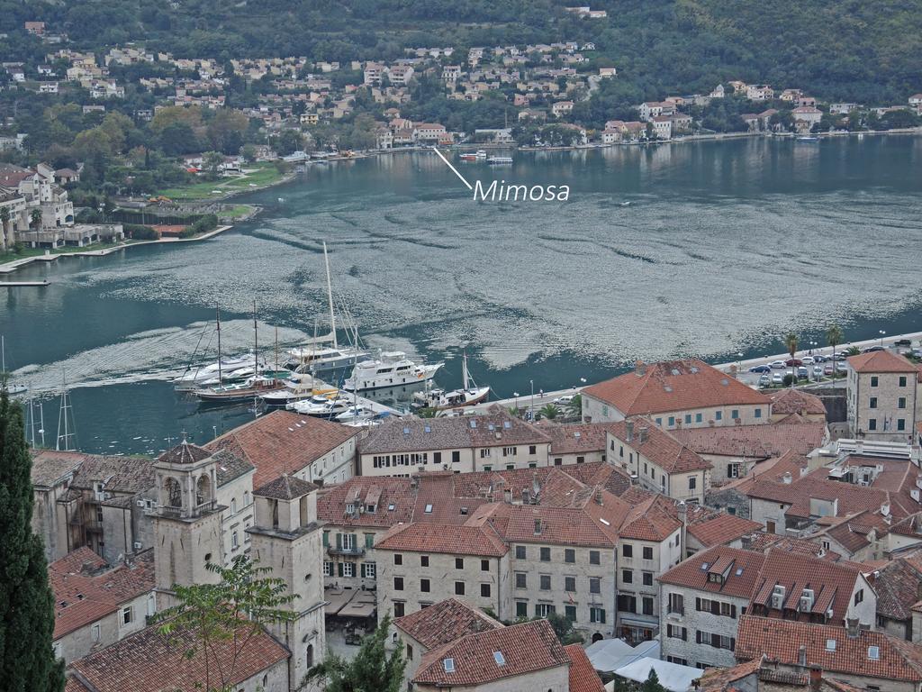 Apartment Mimosa Kotor Kamer foto