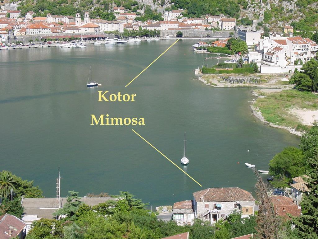 Apartment Mimosa Kotor Kamer foto