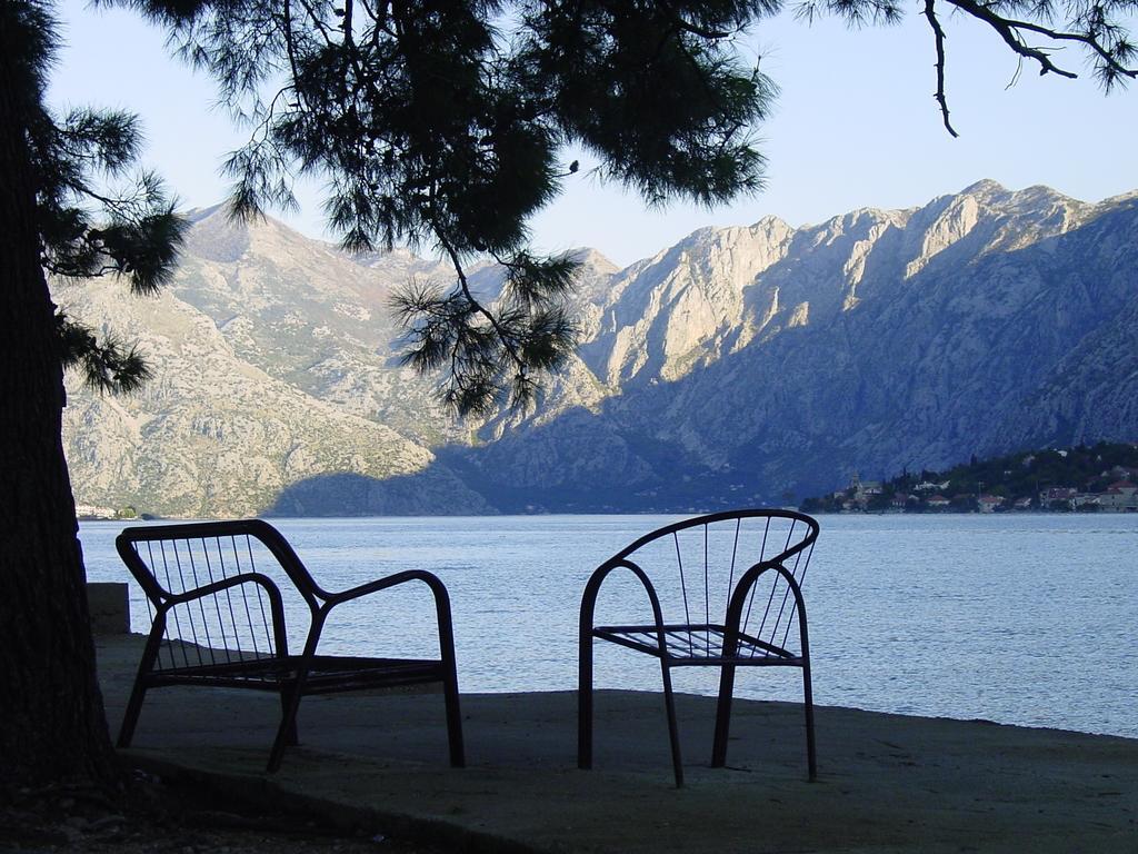 Apartment Mimosa Kotor Kamer foto