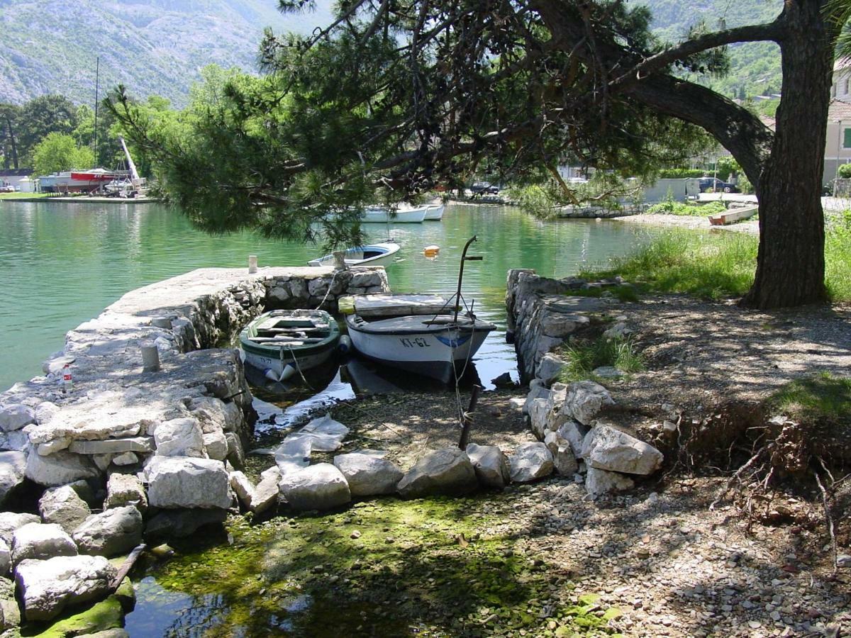 Apartment Mimosa Kotor Buitenkant foto